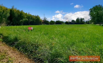 terrain à Gaillac (81)