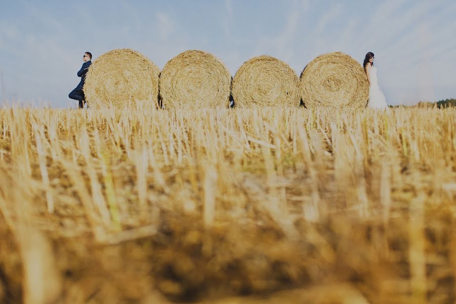 結婚式の写真家Anna Płóciennik (annaplociennik)。2014 2月25日の写真