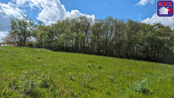 terrain à Nailloux (31)