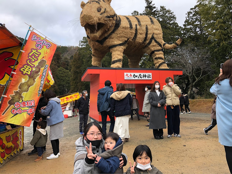 の投稿画像14枚目