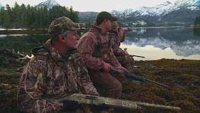 Valdez, Alaska Ducks thumbnail