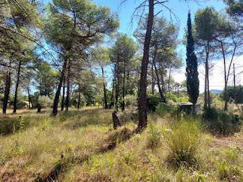 terrain à La Roquebrussanne (83)