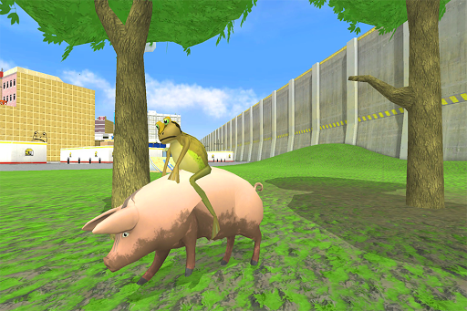 Great frog New in 2020