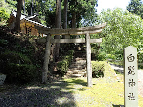 白髭神社にお参り