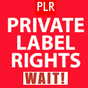 Private Label Rights(PLR) Tips 1 Icon