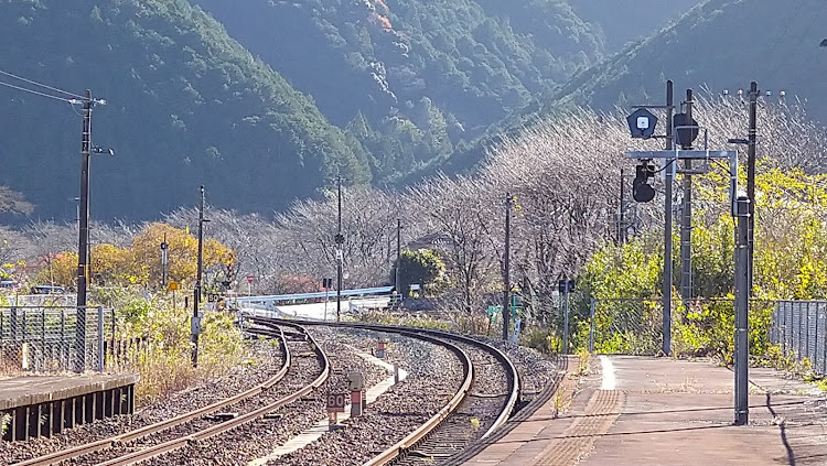 フィットの撮り鉄・無人駅にて・いつもイイネ&コメントありがとうございます🙇‍♂️・無限パーツ取付完了・フィットに関するカスタム事例の投稿画像13枚目
