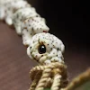miniatures image - 12