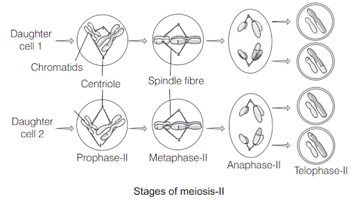 Solution Image