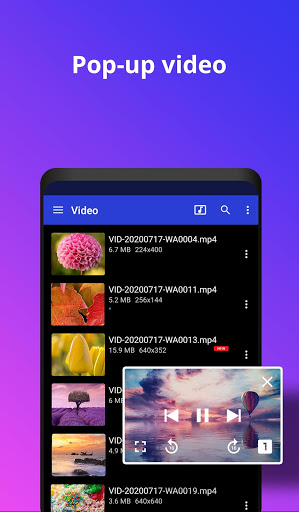 Screenshot Video Player All Format