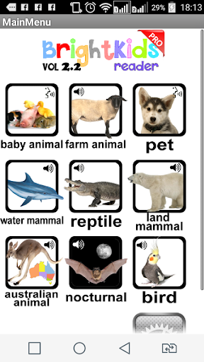 Brightkids Animal Flash Card 3