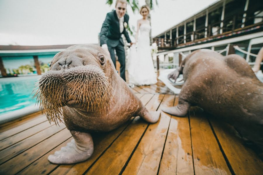 Wedding photographer Aleksandr Muravev (alexmuravey). Photo of 27 May 2014