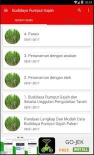 Cara Budidaya Rumput Gajah - náhled