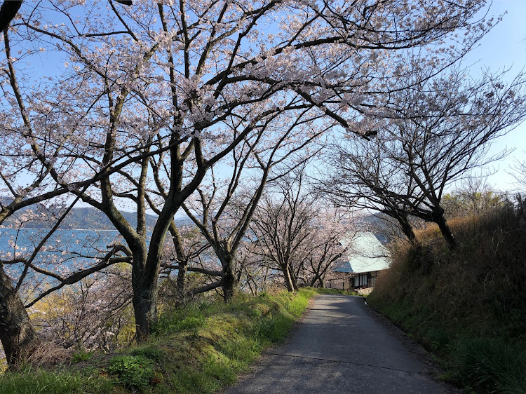 の投稿画像12枚目