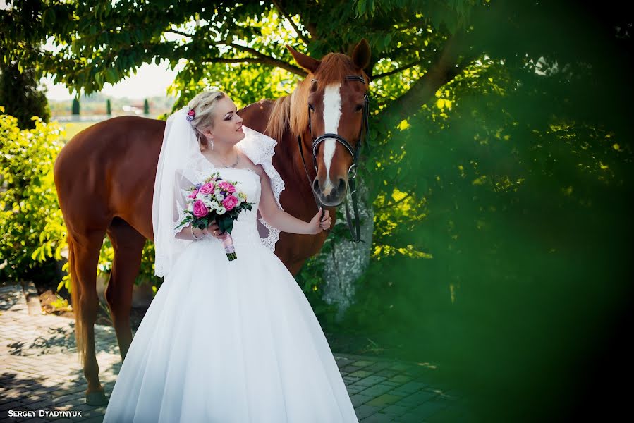 Wedding photographer Sergey Dyadinyuk (doger). Photo of 28 January 2017