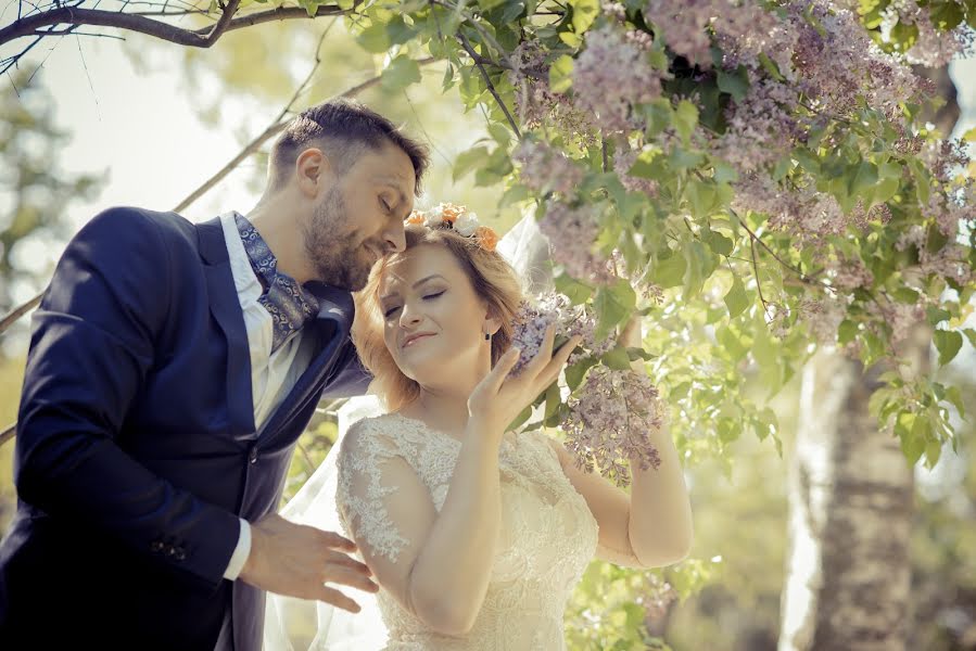 Wedding photographer Teodora Bisog (teodorabisog). Photo of 25 October 2017