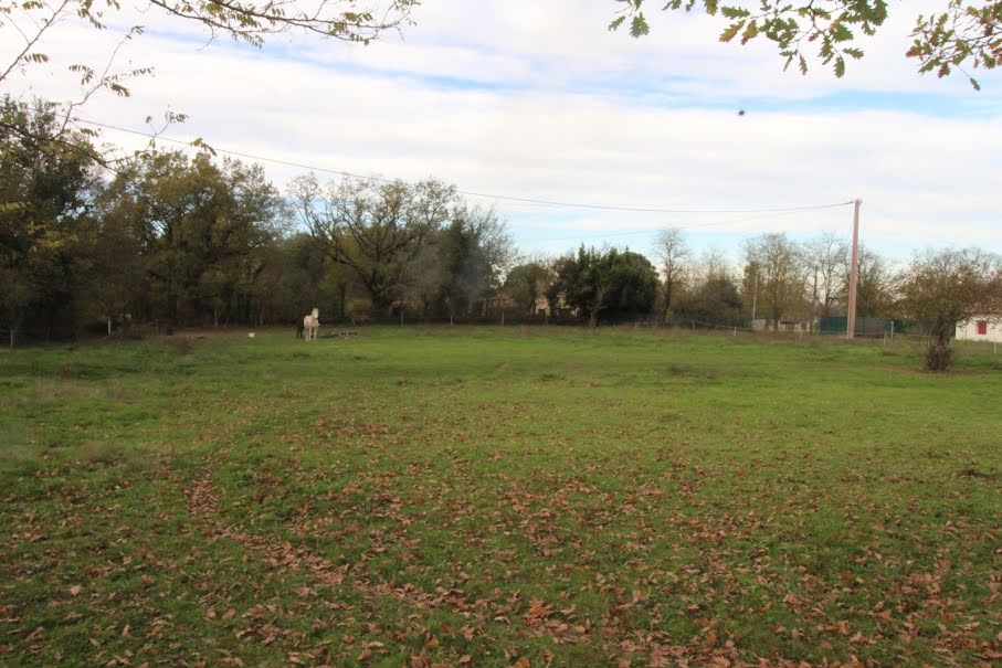 Vente terrain  2800 m² à Puygaillard-de-Quercy (82800), 54 000 €