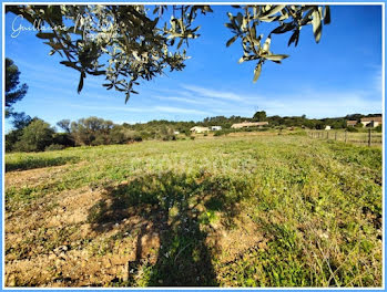 terrain à Neffiès (34)