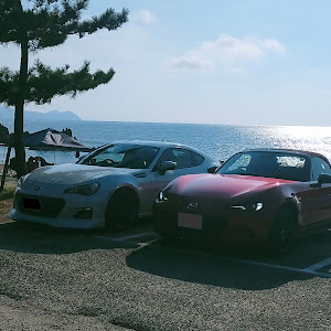 BRZ ZC6