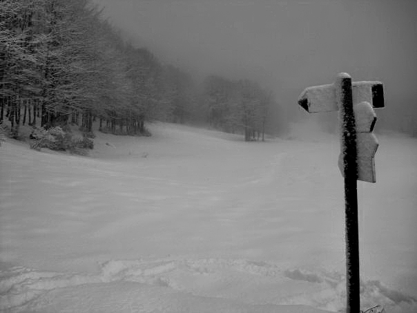 Nebbia a Prato Cipolla di giovanni amerio