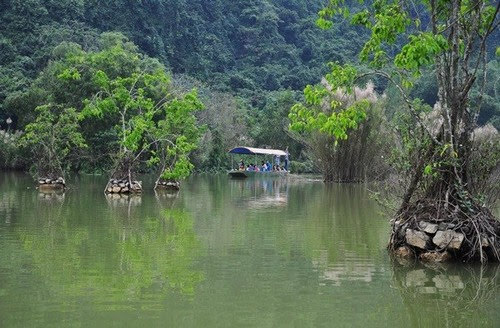 Vườn chim Thung Nham, một góc thanh bình 5