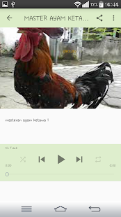 MASTER AYAM KETAWA JUARA(圖3)-速報App