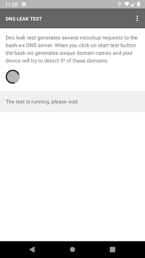 Screenshot DNS leak test