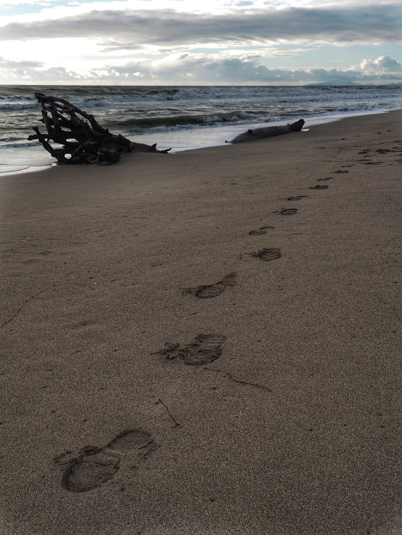 Passi lenti in riva al mare di Stefifoto