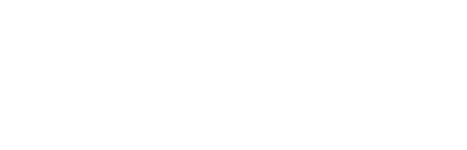 PLAYTIME-PARADOX-LOGO