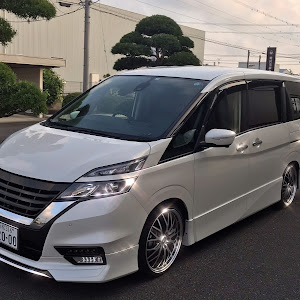 ランディ SGNC27