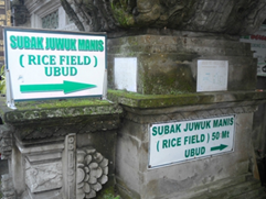 ubud