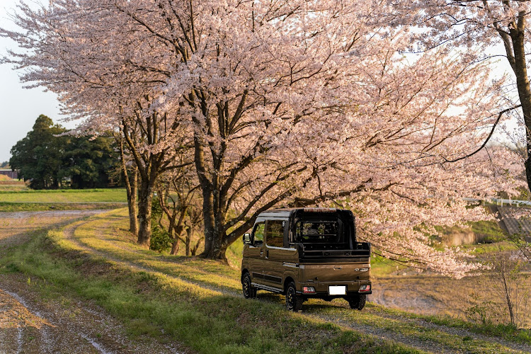 の投稿画像2枚目