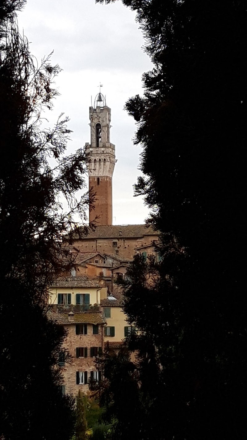 La Torre svetta di Agnus_ge