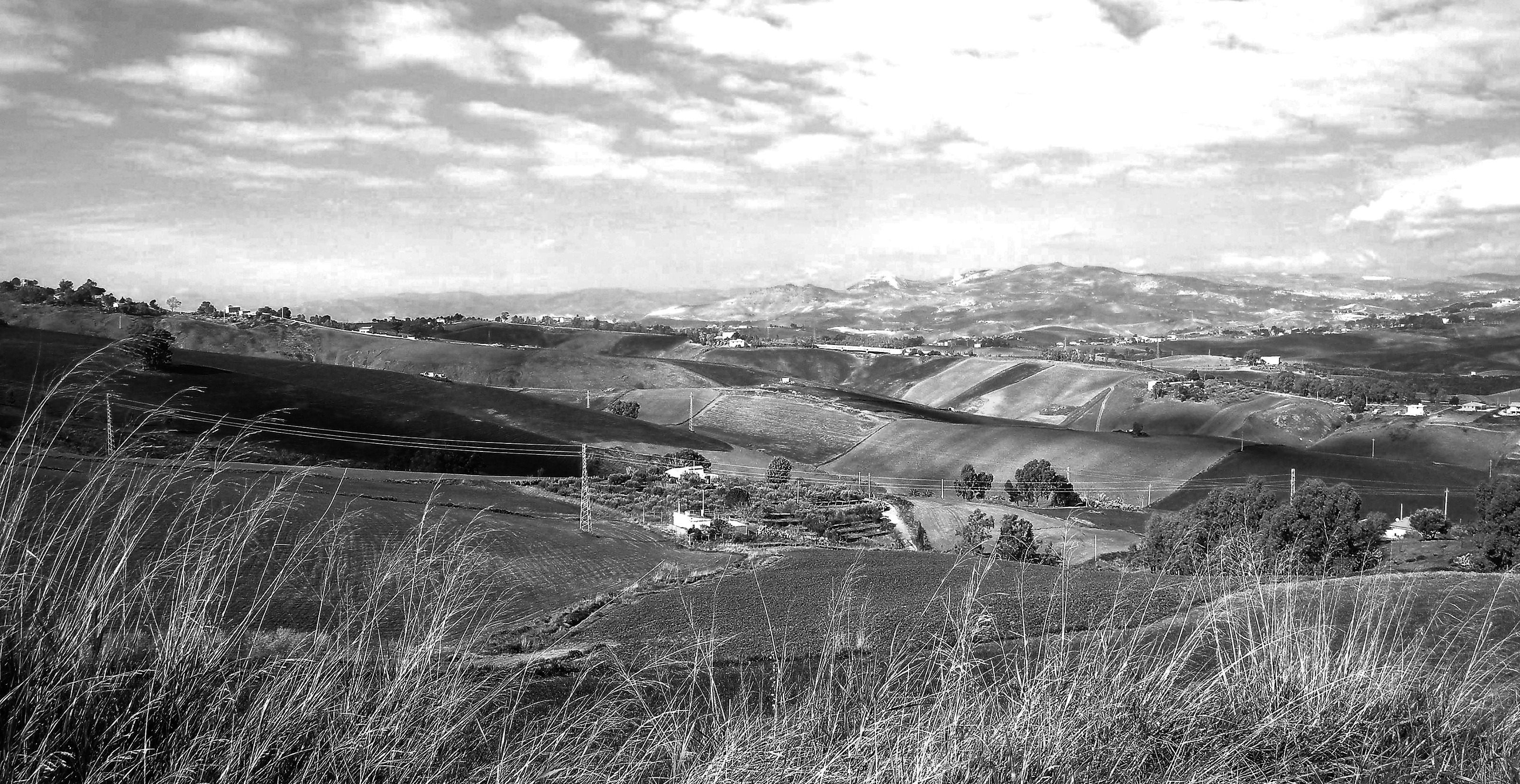 In bianco e nero di ChiaraTamburello