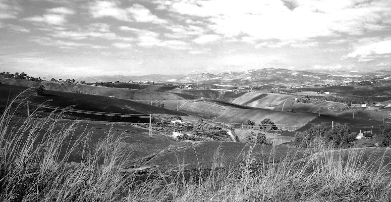 In bianco e nero di ChiaraTamburello