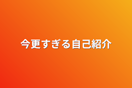 今更すぎる自己紹介