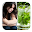 Depression Natural Treatment Download on Windows