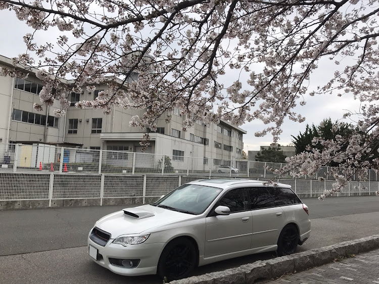 レガシィツーリングワゴンの地震被害地の一日も早い復興を祈ります・いいね&コメントいつもありがとうございます・ピックアップオフ会呼ばれた時の為にお泊まりセット準備しとこw・桜コラボ・4月もよろしくお願いします(*- -)(*_ _)ペコリに関するカスタム事例の投稿画像4枚目