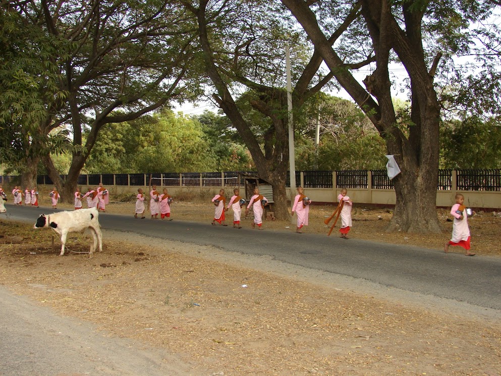 monywa