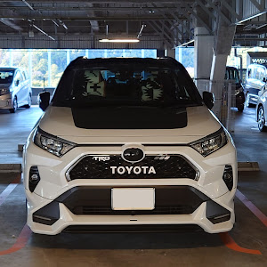 RAV4 MXAA54