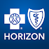 Horizon Blue2.291