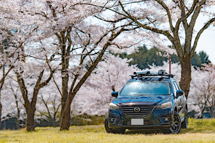 CX-5の写真が好きな人と繋がりたい・カメラ好きな人と繋がりたい・2023ベストショット4月に関するカスタム事例の投稿画像1枚目