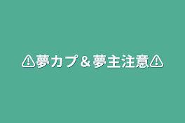 ⚠️夢カプ＆夢主注意⚠️