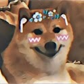 Icon Doge Stickers Tamil 2023