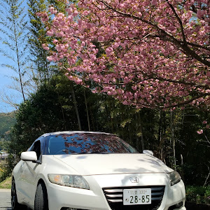 CR-Z ZF1