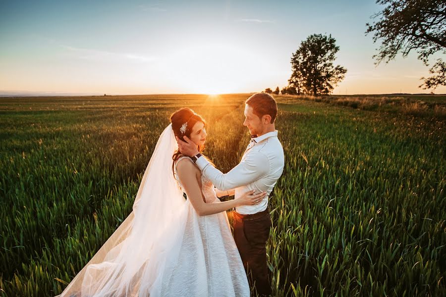 Fotógrafo de casamento Darina Zapesochnaya (zapesochnayad). Foto de 8 de junho 2017