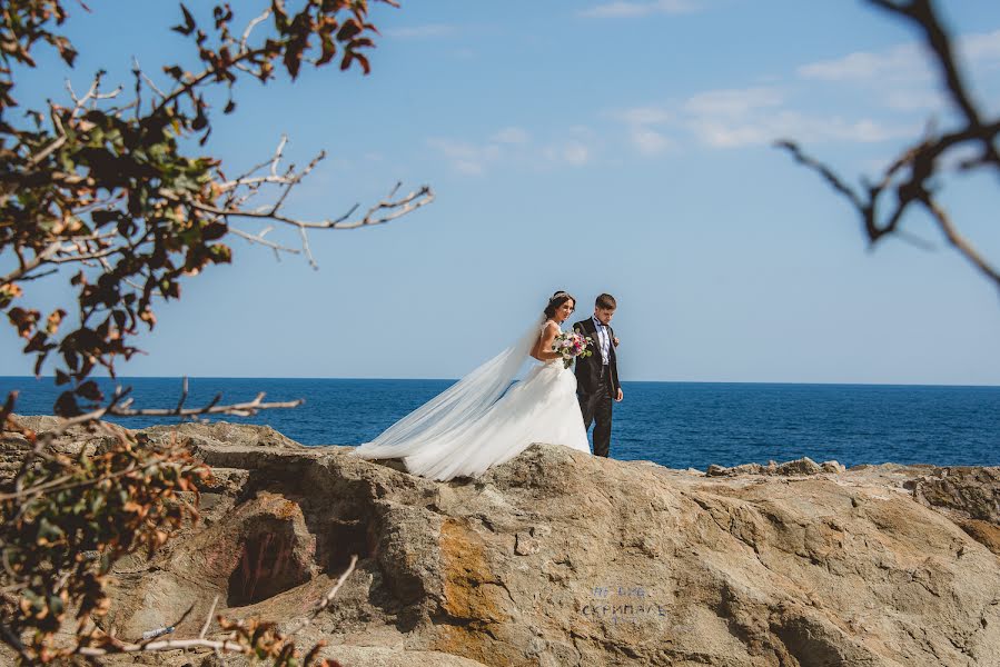 Photographe de mariage Andrey Semchenko (semchenko). Photo du 4 juin 2017