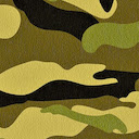 Camo Search