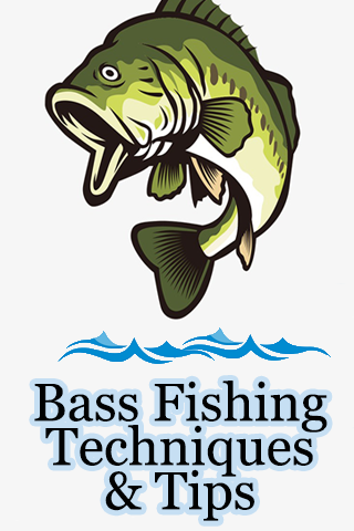 Screenshot Bass Fishing Techniques & Tips