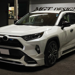 RAV4 AXAH54