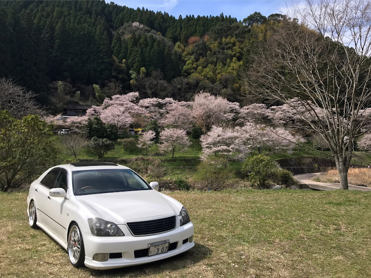 クラウンアスリートの熊本・桜と愛車・日向神ダム・桜とコラボに関するカスタム事例の投稿画像2枚目